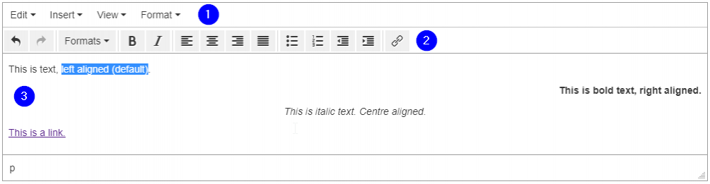 Rich Text Editor - Main Features & Example Formatting